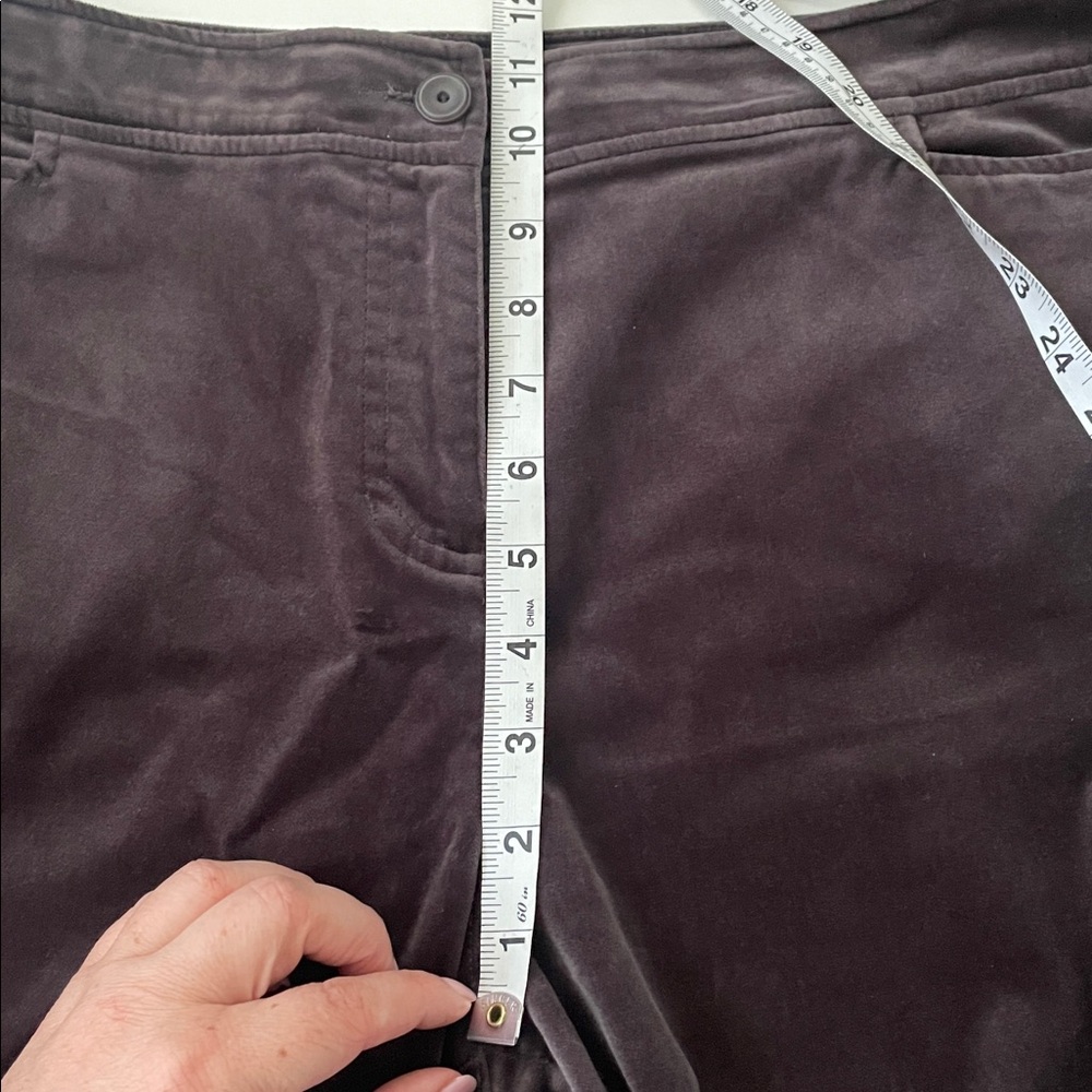 Eileen Fisher Women’s XL Plus Versatile‎ Deep Brown Purple Pant - Picture 4 of 14
